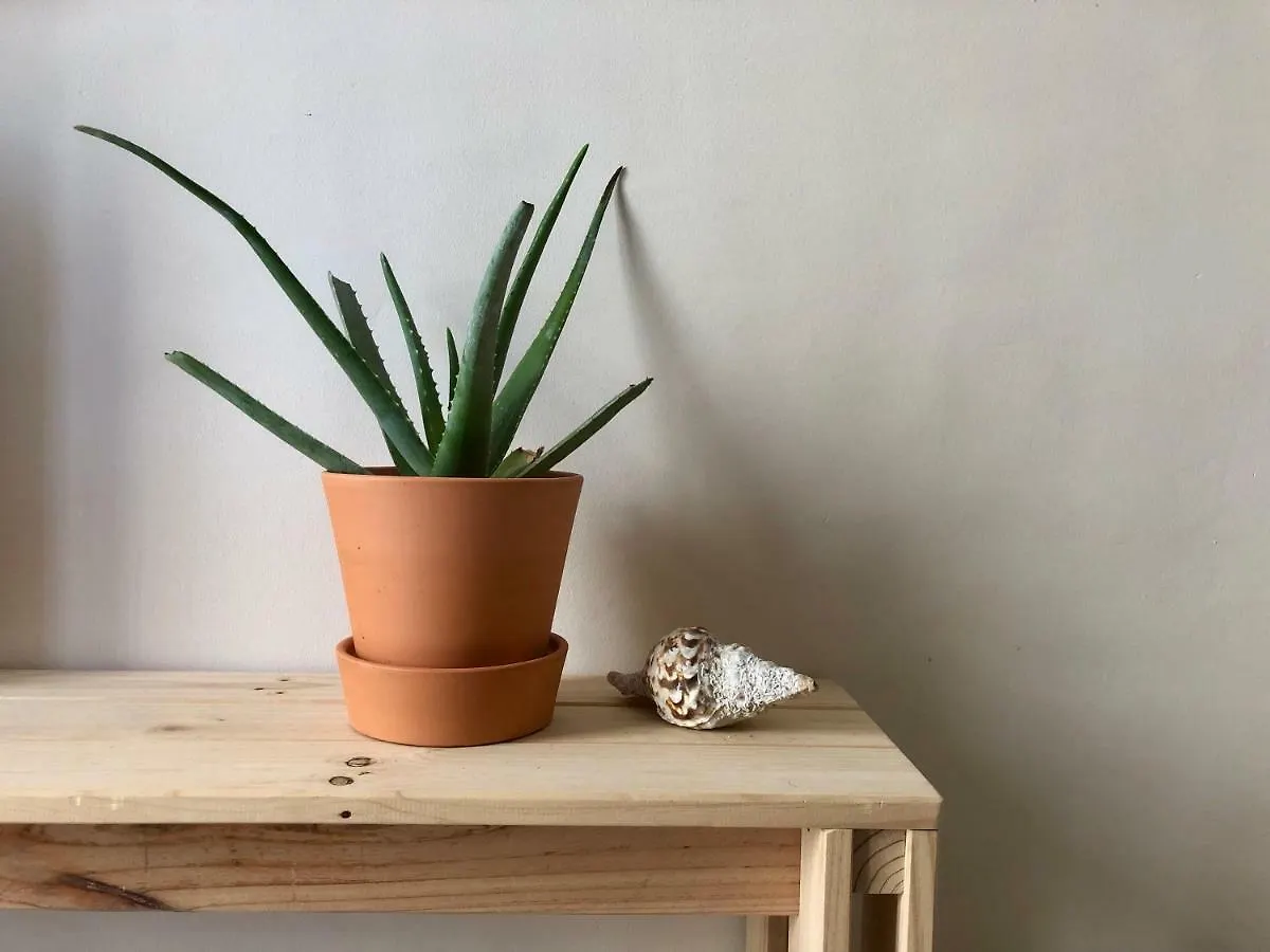 Apartament Centre Ciutat Apartment Tarragona Spain